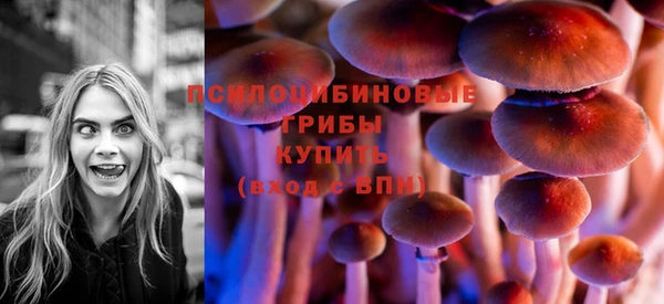 амф Балахна