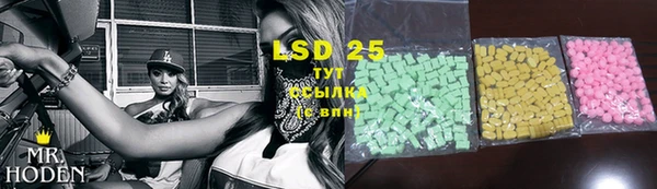 прущие грибы Балабаново