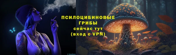 прущие грибы Балабаново