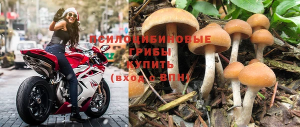 амф Балахна