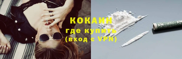 прущие грибы Балабаново