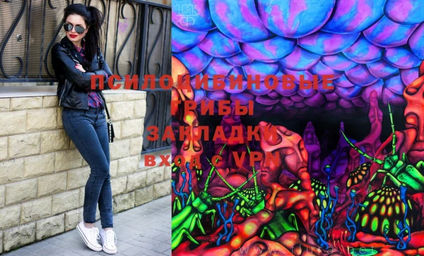 прущие грибы Балабаново