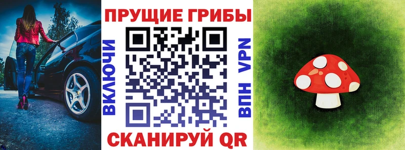 сколько стоит  Слободской  Псилоцибиновые грибы MAGIC MUSHROOMS 